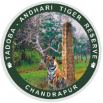 Tadoba Tiger Reserve Chandrapur Recruitment 2021