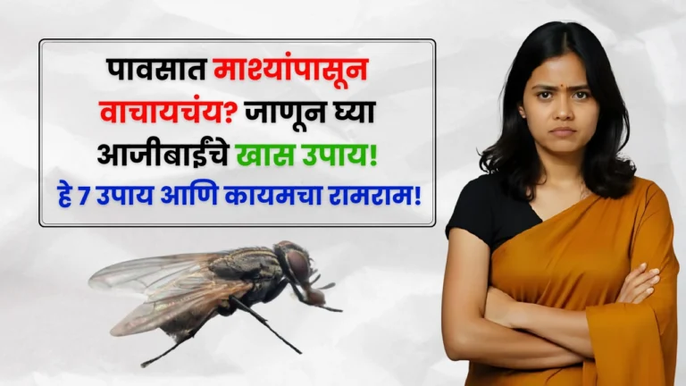 How to get rid of flies in the house quickly